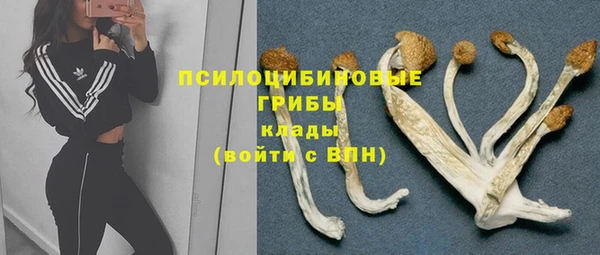 герыч Алексин