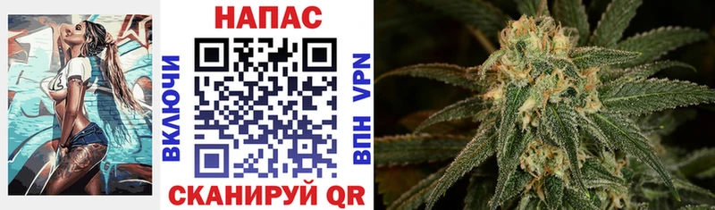 где купить наркоту  Невьянск  Канабис гибрид 